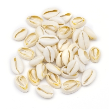 Морские Ракушки Каури для Браслетов и Бижутерии, Бежевый, 12-16x7-11x3-6мм, без Отверстия, около 80шт/50г, (УТ100014046)