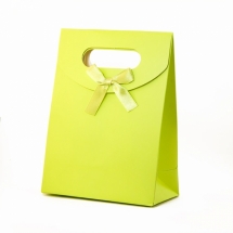 Бумажный Пакет с Бантиком, Цвет: Салатовый, Размеры: 16.3x12.3см, (УТ100011970)