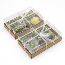 Декоративные Бездымные Свечи из Парафина, в Форме Кактуса, Цвет: Зеленый, Размер: 15.6x10.3x10.3см, 12шт/комплект, (УТ100024809)