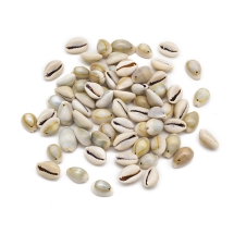 Кулоны Подвески Натуральные Морские Ракушки Каури, 13-16х10-11х7-9мм, Отверстие 2мм, около 70шт/50г, (УТ100027740)