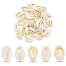 Морские Ракушки Каури, без Отверстия, Папайя, 118-20x13-14x6-8мм, около 40шт/50г (УТ100027752)