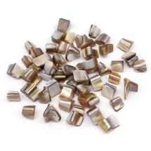 Бусины Речной Перламутр Кусочки, Светлый Хаки, 5-10x8-12x9-10мм, Отверстие 0.8-1мм, около 52шт/50гр, (УТ100027776)