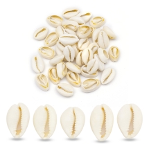 Морские Ракушки Каури, Кремово-Белые, 20-28х15-20х8-9мм, без Отверстия, около 26шт/50г, (УТ100027805)